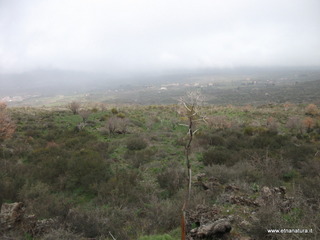 conco di Liricio-24-03-2013 12-09-38